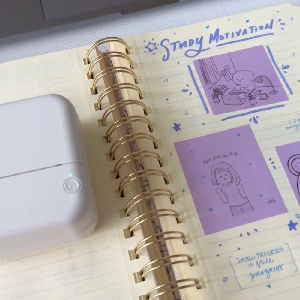 3x Colored Paste Rolls™