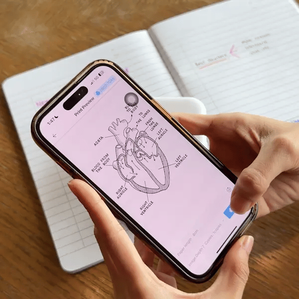 3x White Paste Rolls™