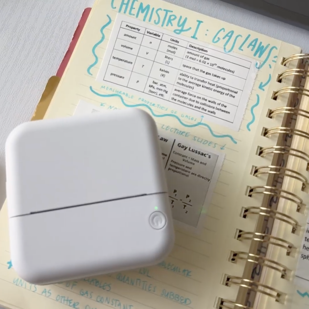 3x White Paste Rolls™